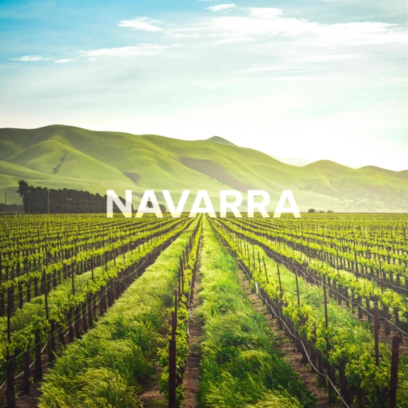 Vineyard rows leading to green hills with "NAVARRA" text overlay
